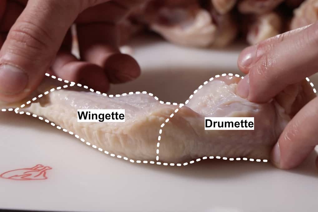 how to break down chicken wings. the whole wing is outlined showing the wingette, drumette, and wing tip separated by dotted lines showing where to cut.