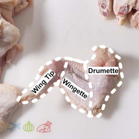 how to break down chicken wings. the whole wing is outlined showing the wingette, drumette, and wing tip separated by dotted lines showing where to cut.