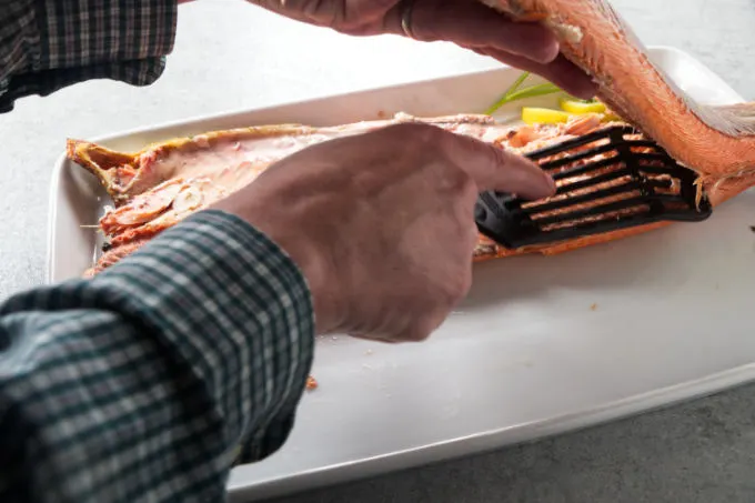 Carving a whole salmon.