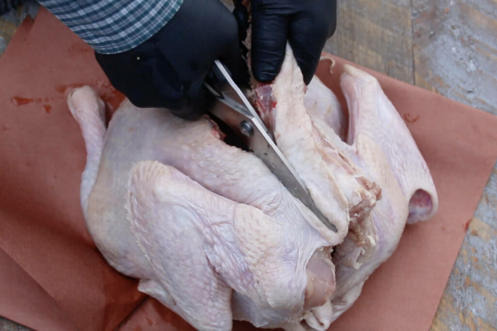 cutting backbone from turkey