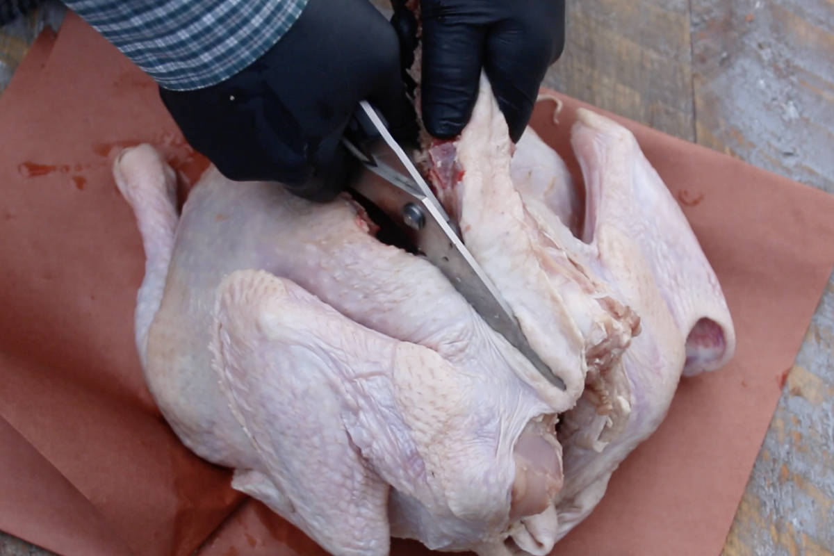 using kitchen shears to remove the backbone of the turkey in order to spatchock it