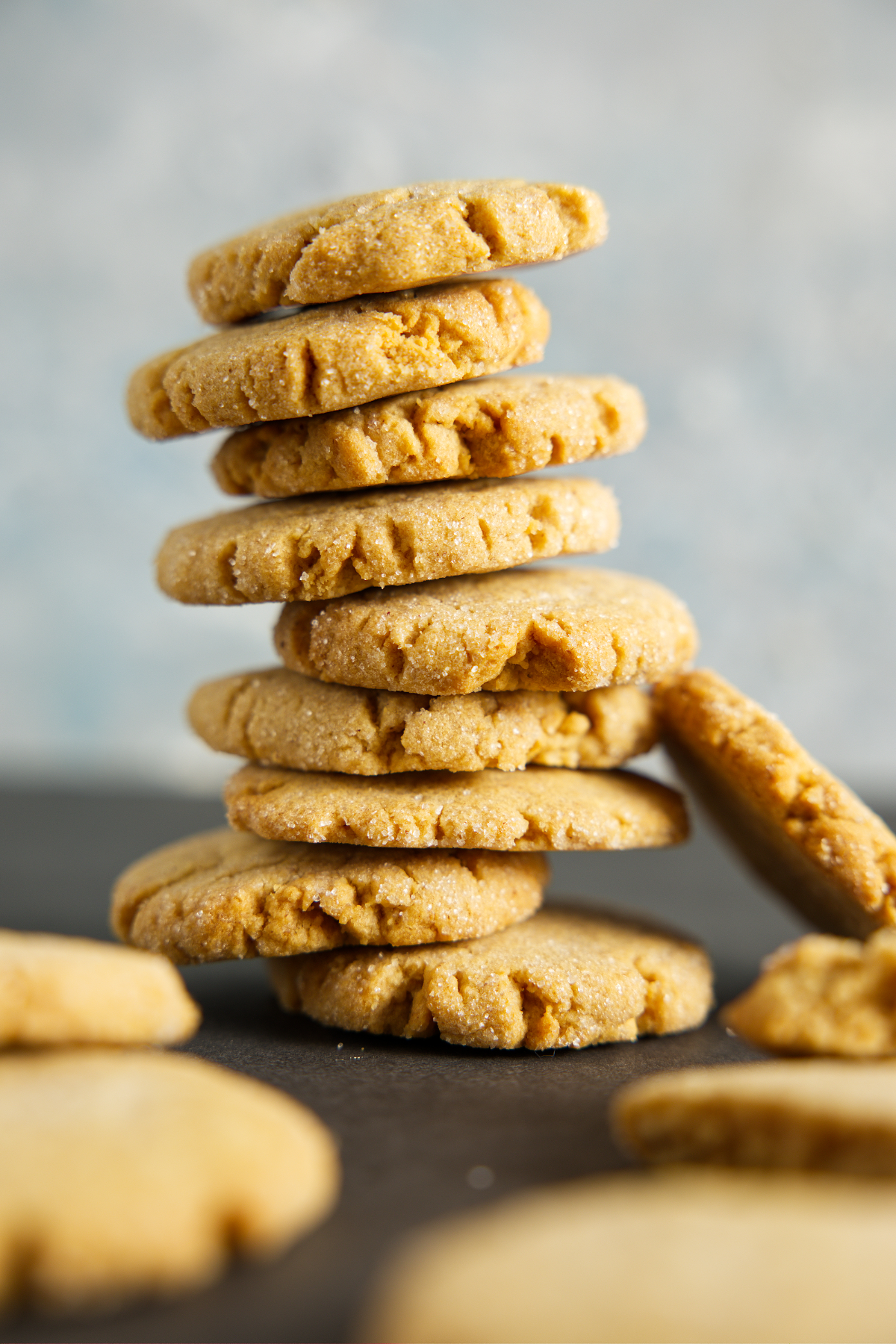 https://alicensetogrill.com/wp-content/uploads/2023/11/air-fryer-peanut-butter-cookies-tall-stack.jpg