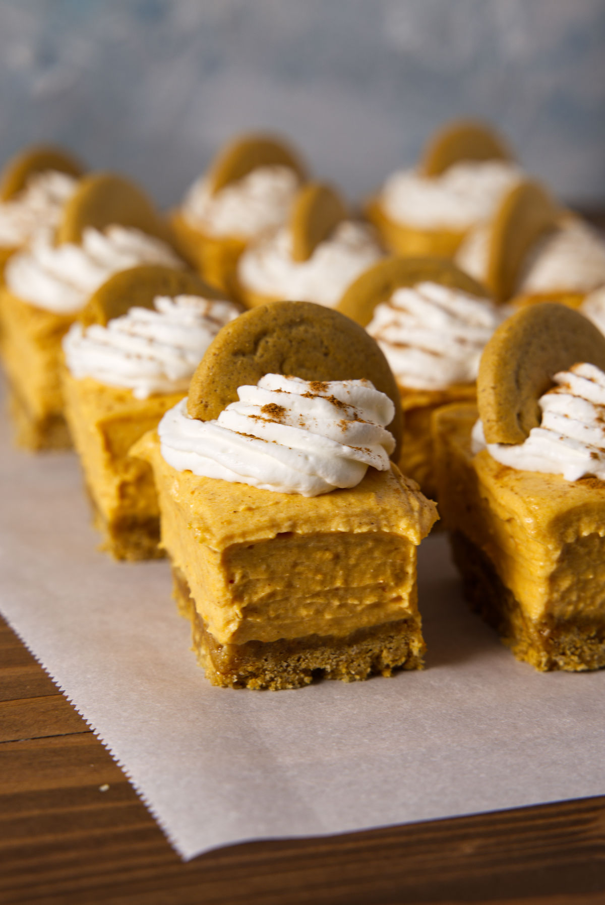 Close up of no-bake pumpkin cheesecake bars with whipped cream and gingersnap cookies on top.