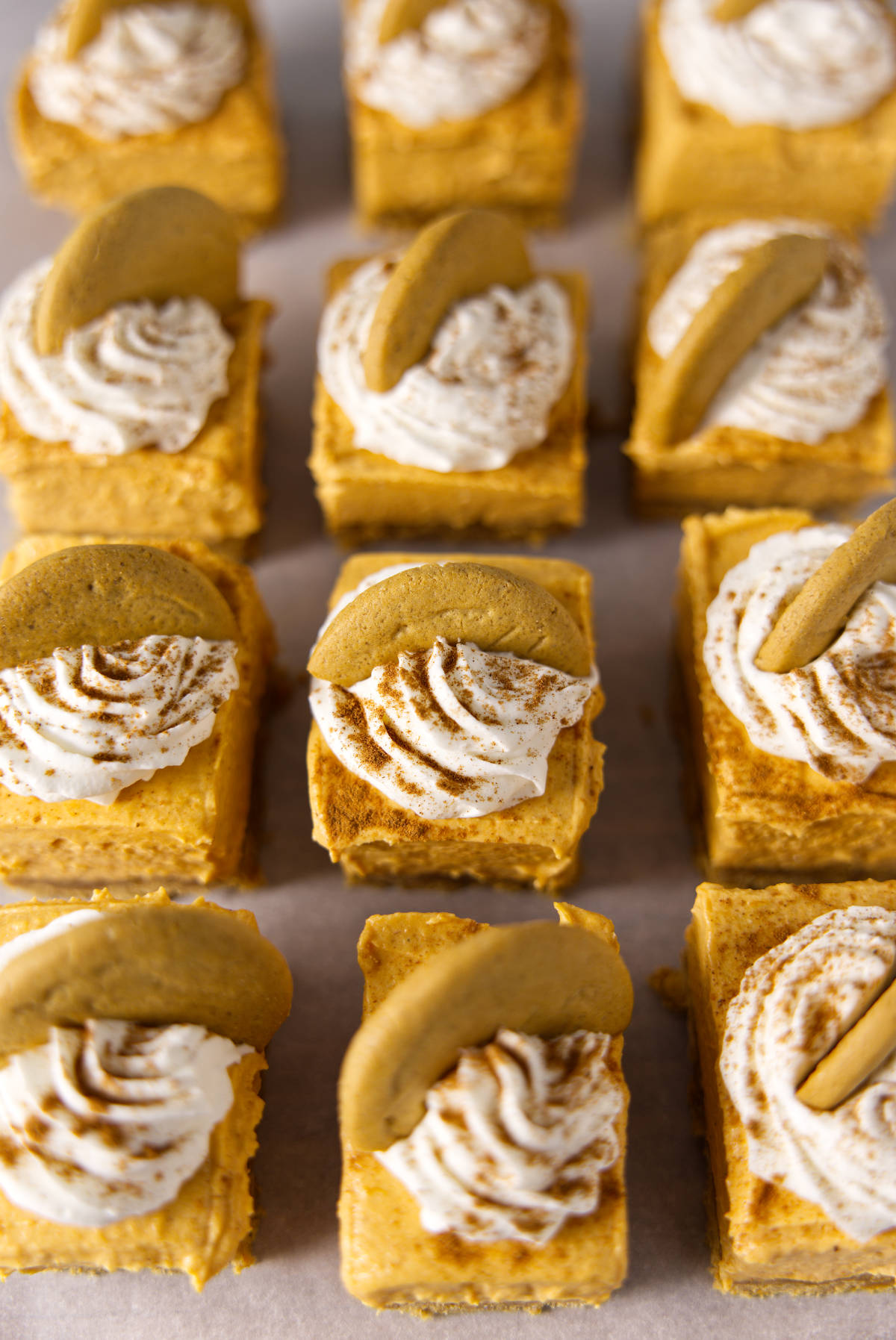 Several pumpkin cheesecake bars sliced and laid out on parchment paper in a grid.