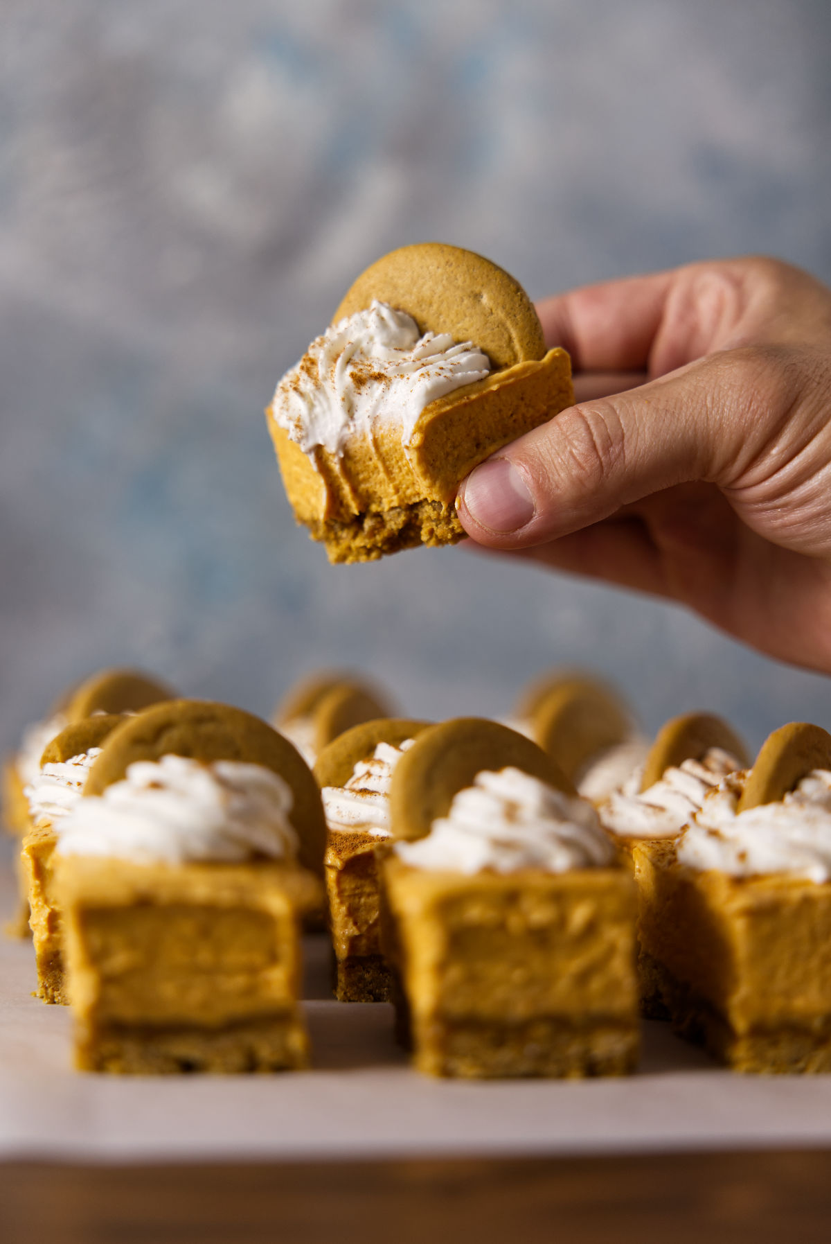 Holding a pumpkin cheesecake bar with a bite taken out of it.